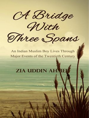 cover image of A Bridge With Three Spans
